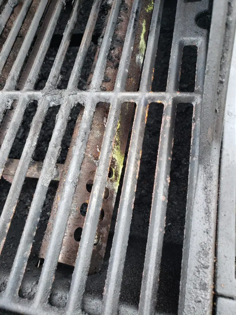 Moldy grill grates