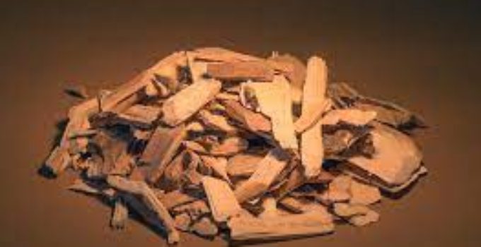 Do You Soak Wood Chips For Electric Smokers?