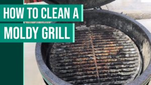 how to clean mold off my grill