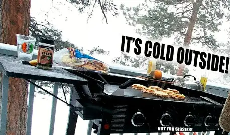 How to store Blackstone Griddle for Winter