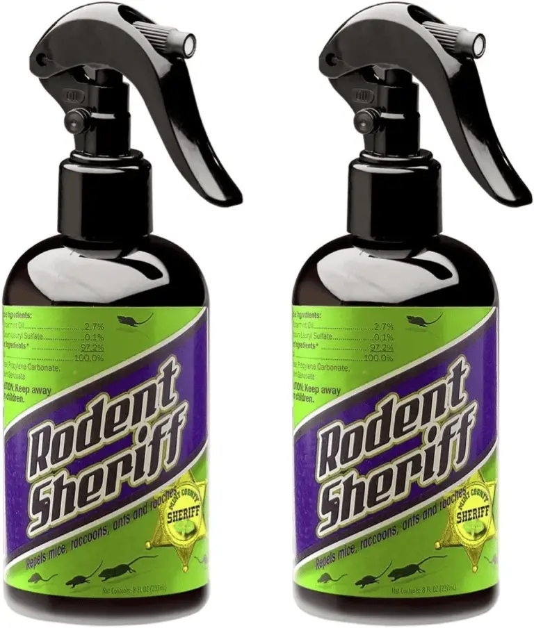 Is it Safe to Use Grill after Mice? (6 TIPS TO KEEP MICE OUT OF GRILL