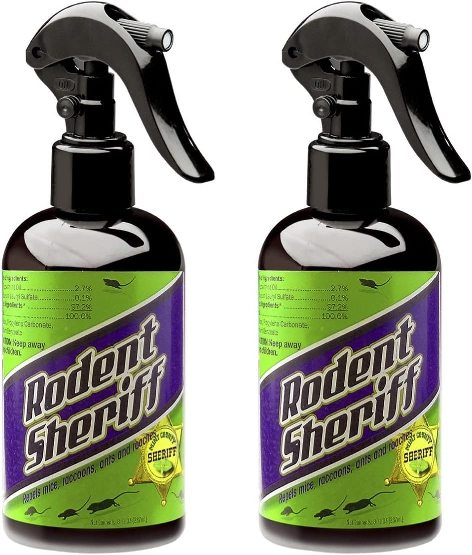 Is it Safe to Use Grill after Mice? (6 TIPS TO KEEP MICE OUT OF GRILL) Grill Cuisines