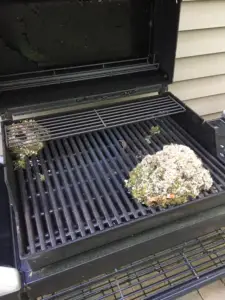 safe to use grill after mice