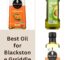 10 Best Oil For Blackstone Griddle Cooking(SMOKE POINT, FLAVOR, HEALTH BENEFIT)