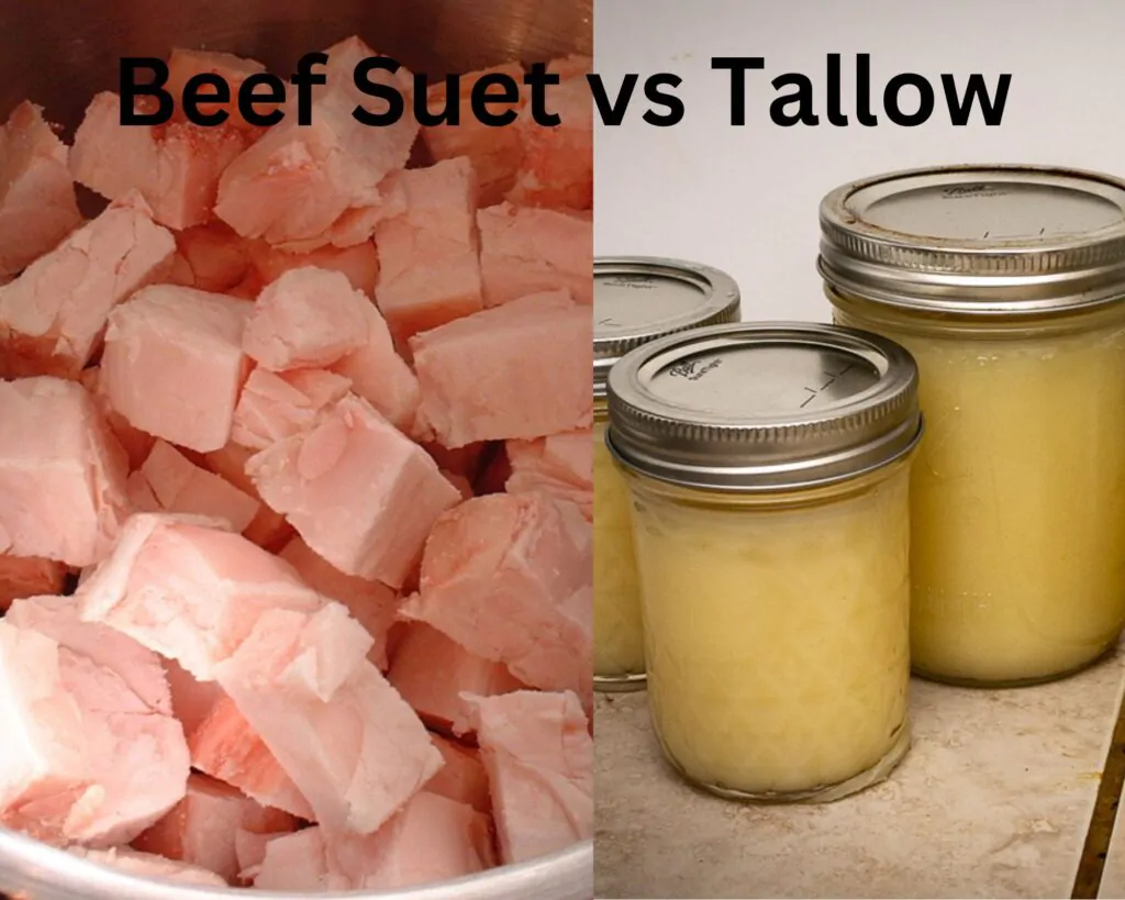 Cooking with Beef Tallow (USES, COOKING TIPS, & RECIPES) Grill Cuisines