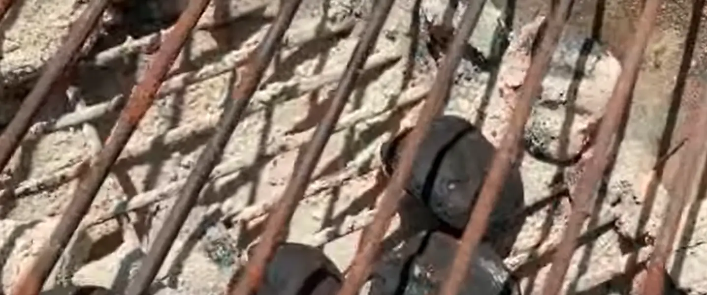 5 BEST FOOD SAFE GRILL PAINT [A Guide to Paint For Grill Grates