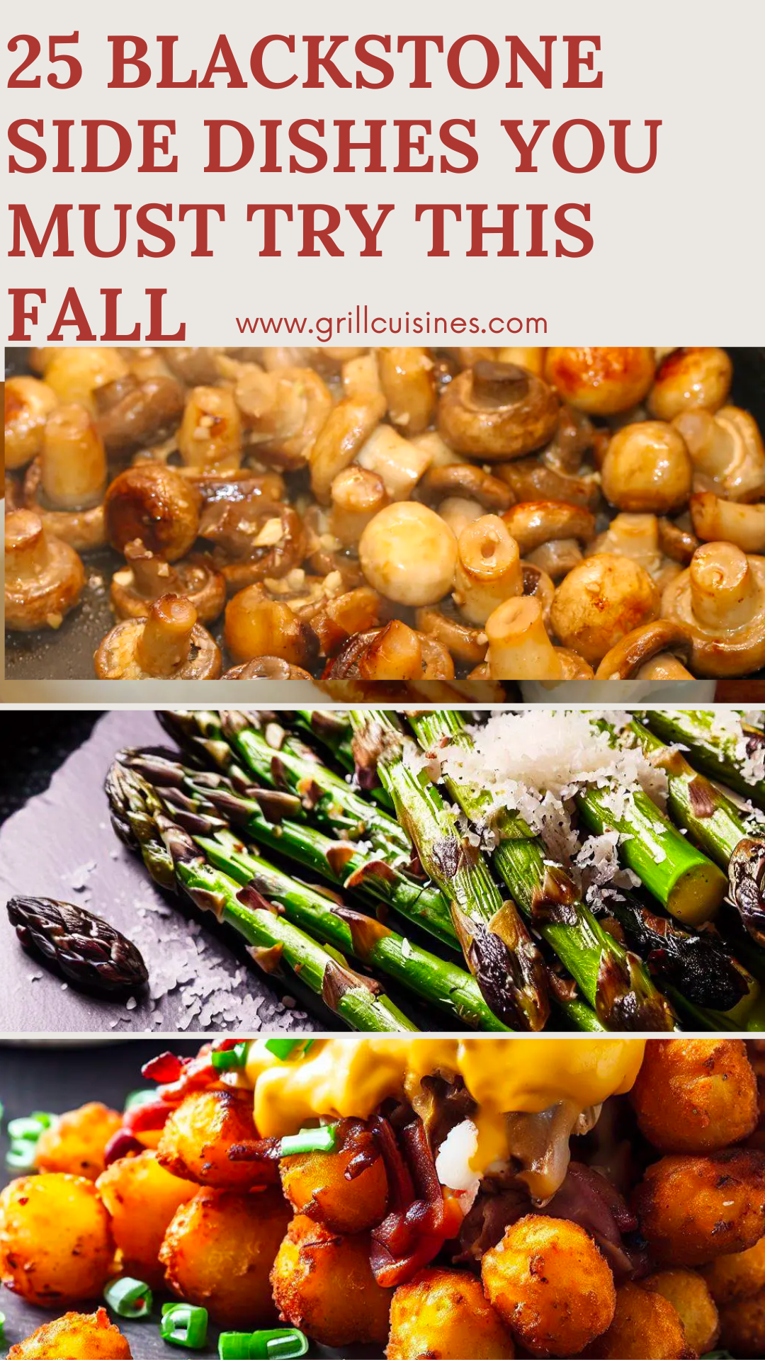 25 Best Blackstone Side Dishes You Must Try Grill Cuisines