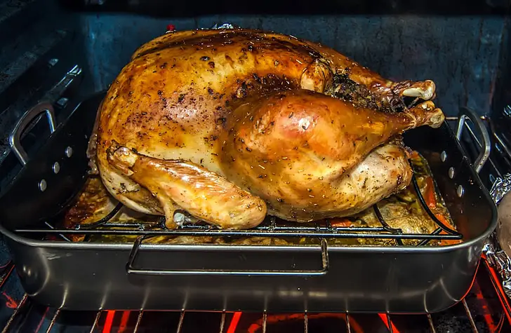 Ninja Woodfire Grill Turkey