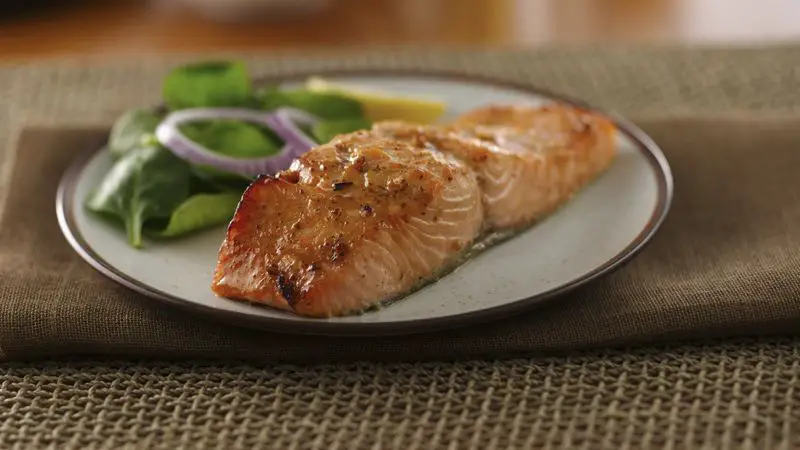 Salmon Marinade Recipes For BBQ