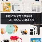 White Elephant Gift Ideas $25